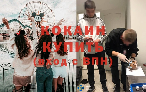 молекула духа Богородск