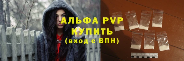 молекула духа Богородск