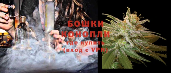молекула духа Богородск