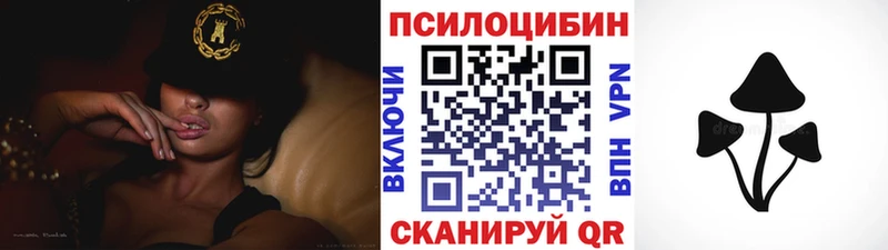 даркнет сайт  Шадринск  Галлюциногенные грибы Psilocybine cubensis 